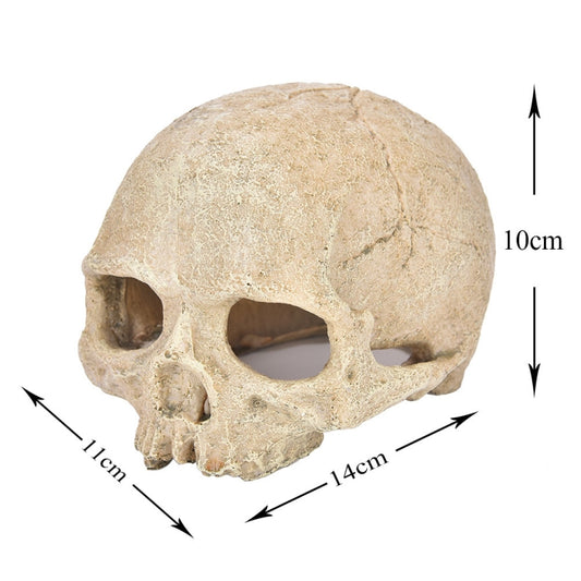 Fish Tank Aquarium Decoration Spider Lizard Snake Python Skull Breeding House Hiding Ornament(Bald Skull) - Reptile Supplies by buy2fix | Online Shopping UK | buy2fix