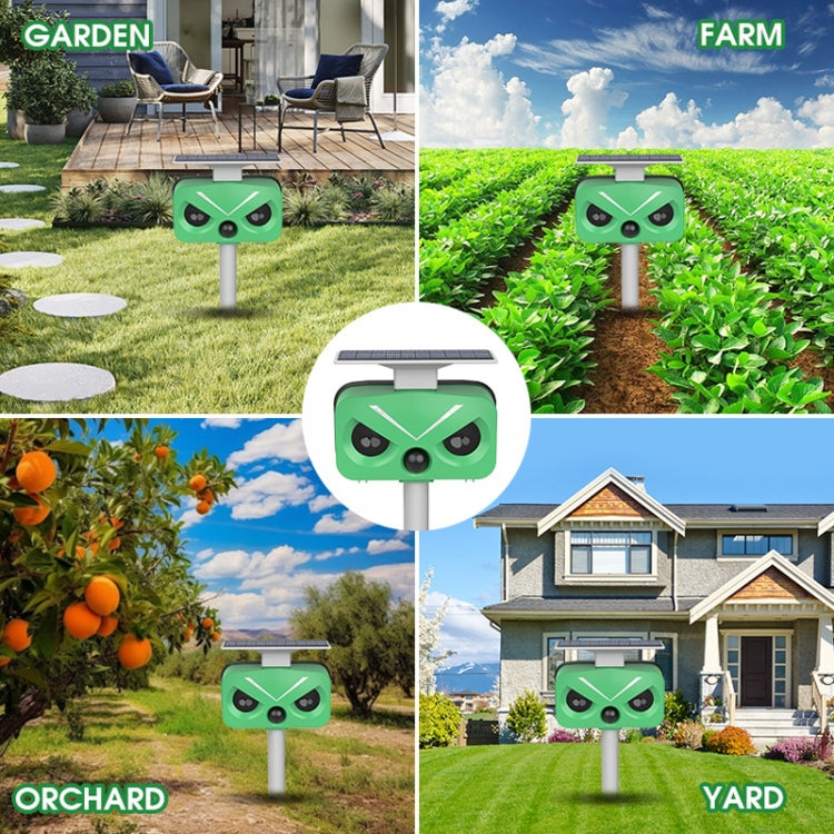 Outdoor Solar Animal Repeller Multi-functional Bird/Cat/Rat Repeller(SJZ028-2) by buy2fix