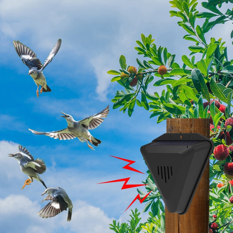 N911Q Solar Bird Repeller Orchard And Fish Pond Animal Repellent(Black) by buy2fix