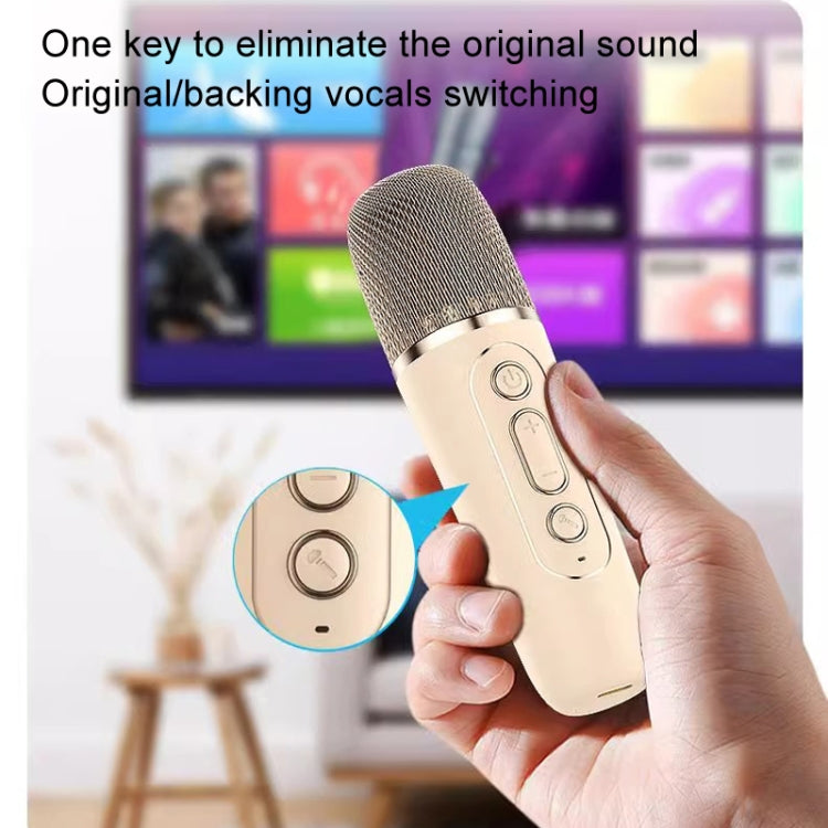 Outdoor Home Portable Wireless Karaoke Sound Cell Phone Integrated Microphone Smart Speaker, Style: With Dual Mic Blue - Mini Speaker by buy2fix | Online Shopping UK | buy2fix