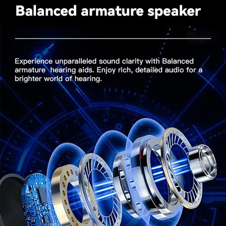 Neck-hanging 16-channel Bluetooth Hearing Aid Rechargeable Sound Amplifier for The Elderly(Black) - Hearing Aids by buy2fix | Online Shopping UK | buy2fix