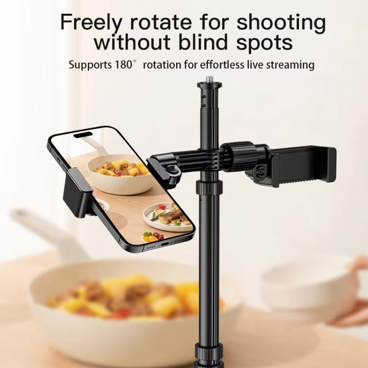 1.7m 14-Inch Suitcase Integrated Design Fill Light Foldable 3500-6000K Full-Screen Live Photography Video Light YY-3 - Selfie Light by buy2fix | Online Shopping UK | buy2fix