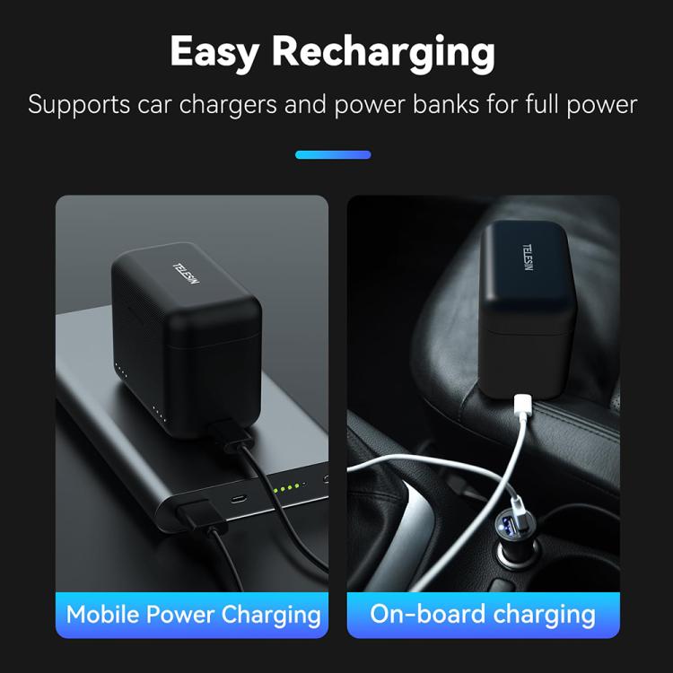 For Insta360 X4 TELESIN Battery Charger Dual Battery Storage Charging Case - Others by TELESIN | Online Shopping UK | buy2fix