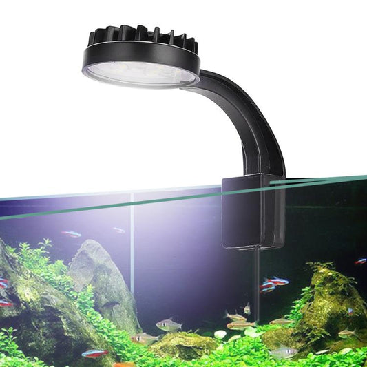 220V 5W Blue White Aquarium LED Clip Light with 12 LEDs USB Powered Mini Fish Tank Light for Aquatic Plants, Water Grass & Small Tanks(Black) - Fish Tank Lamps by buy2fix | Online Shopping UK | buy2fix