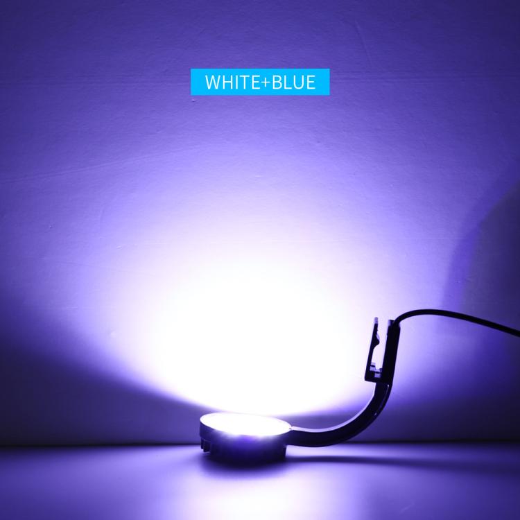 220V 5W Blue White Aquarium LED Clip Light with 12 LEDs USB Powered Mini Fish Tank Light for Aquatic Plants, Water Grass & Small Tanks(White) - Fish Tank Lamps by buy2fix | Online Shopping UK | buy2fix