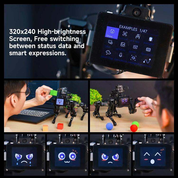 YAHBOOM DOGZILLA-Lite AI-Powered Bionic Robotic Dog 15-DOF Desktop Companion With Robotic Arm, Raspberry Pi Controlled, Multimodal AI & Visual Interaction - Robotics Accessories by YAHBOOM | Online Shopping UK | buy2fix