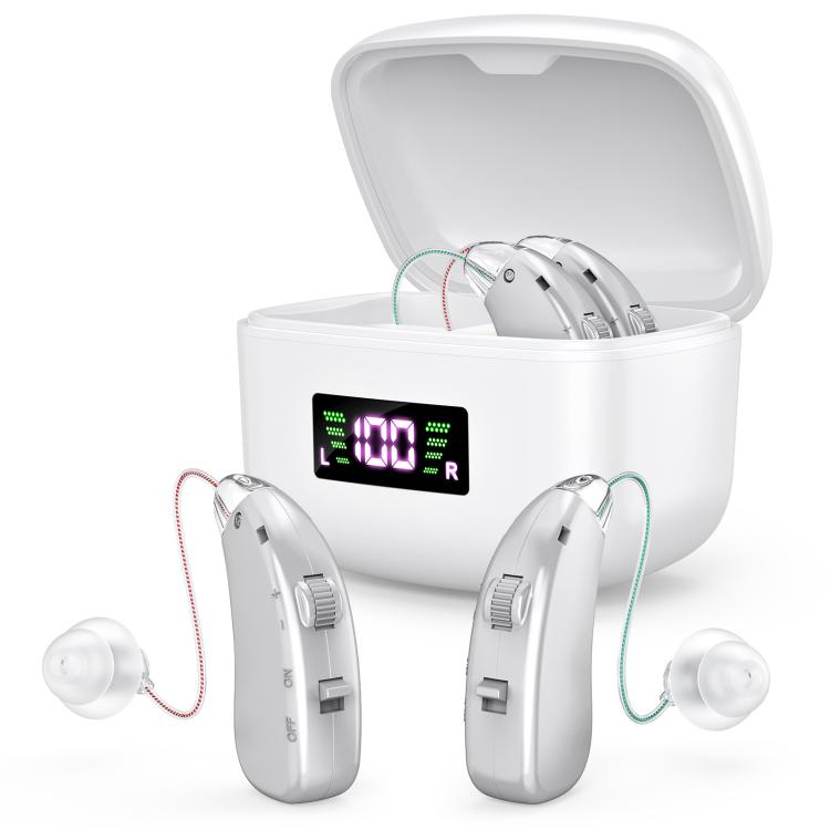 Sound Amplifying Hearing Aid With Magnetic Charging Case(Silver) - Hearing Aids by buy2fix | Online Shopping UK | buy2fix