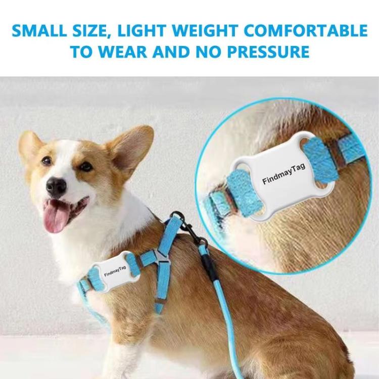 GPS Tracker For Cats & Dogs Global Real-Time Tracking Collar Anti-Loss Waterproof Pet Locator Compatible Findmytag APP(White) - Personal Tracker by buy2fix | Online Shopping UK | buy2fix