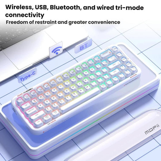 TBD06065629_B1.jpg@6cf8b213bf79c5d167b0dec8ac36058d