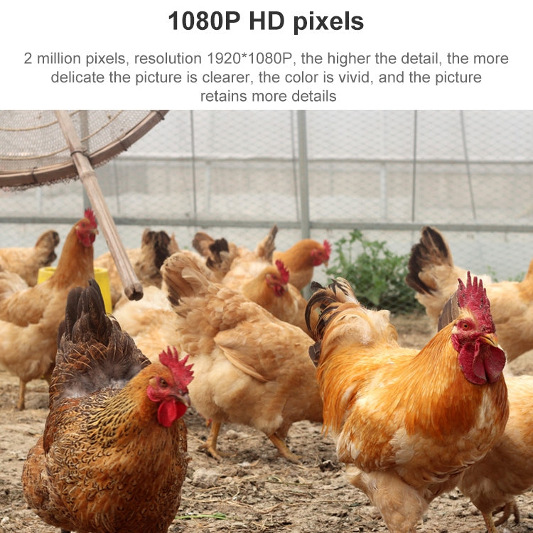 QX5 2.0 Million Pixels 1080P HD 20X Zoom Wireless WiFi Dome Smart Camera, Support Infrared Night Vision / Motion Detection / Voice Intercom / TF Card, US Plug - Dome Camera by buy2fix | Online Shopping UK | buy2fix