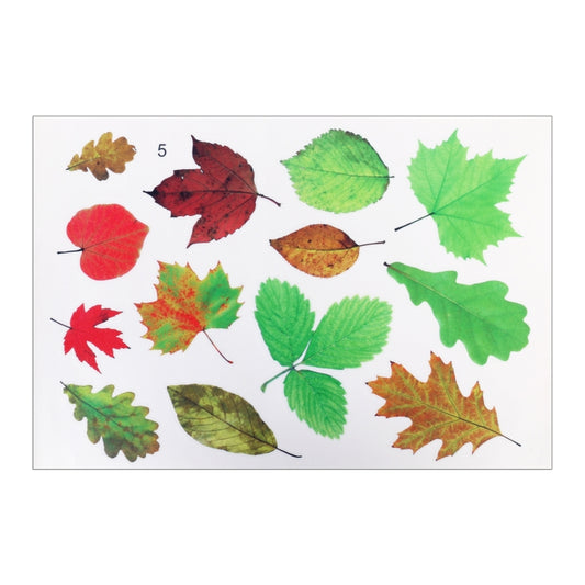 Car 3D PVC Self-adhesive Scratch Personalized Stickers by buy2fix