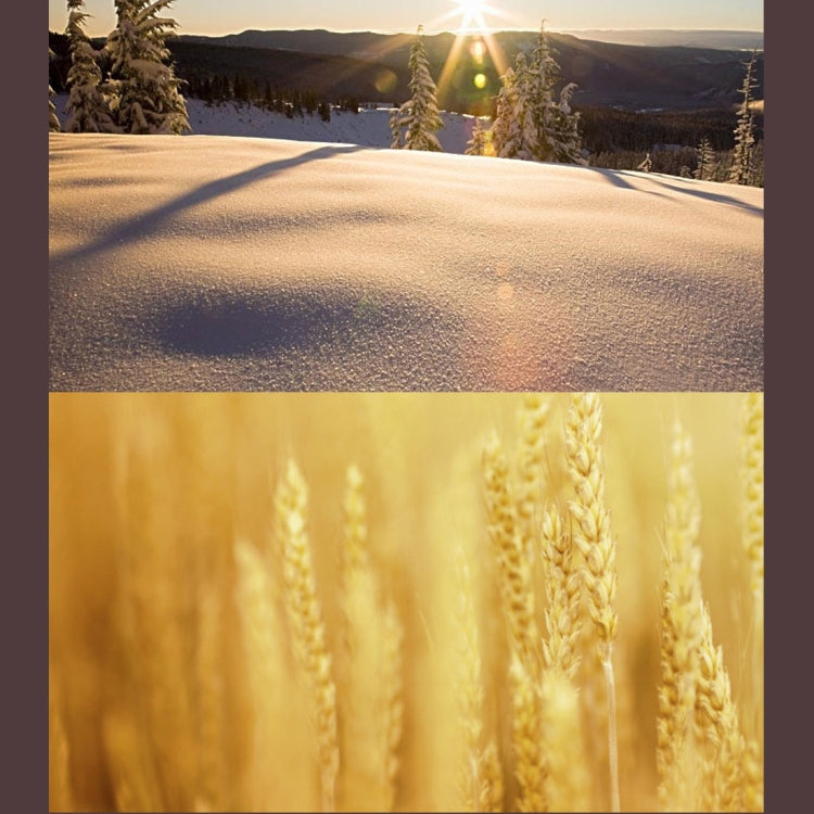 JUNESTAR for Xiaomi Xiaoyi Yi II 4K Sport Action Camera Proffesional HD Slim MCUV Lens Filter by JSR