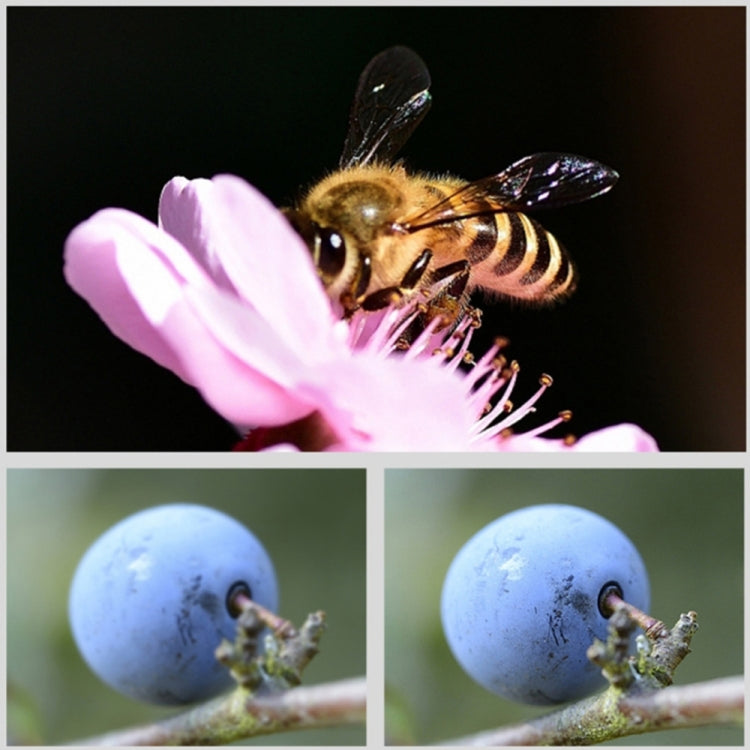 15X Macro Lens Filter for GoPro Hero11 Black / Hero11 Black Mini / HERO10 Black / HERO9 Black by buy2fix