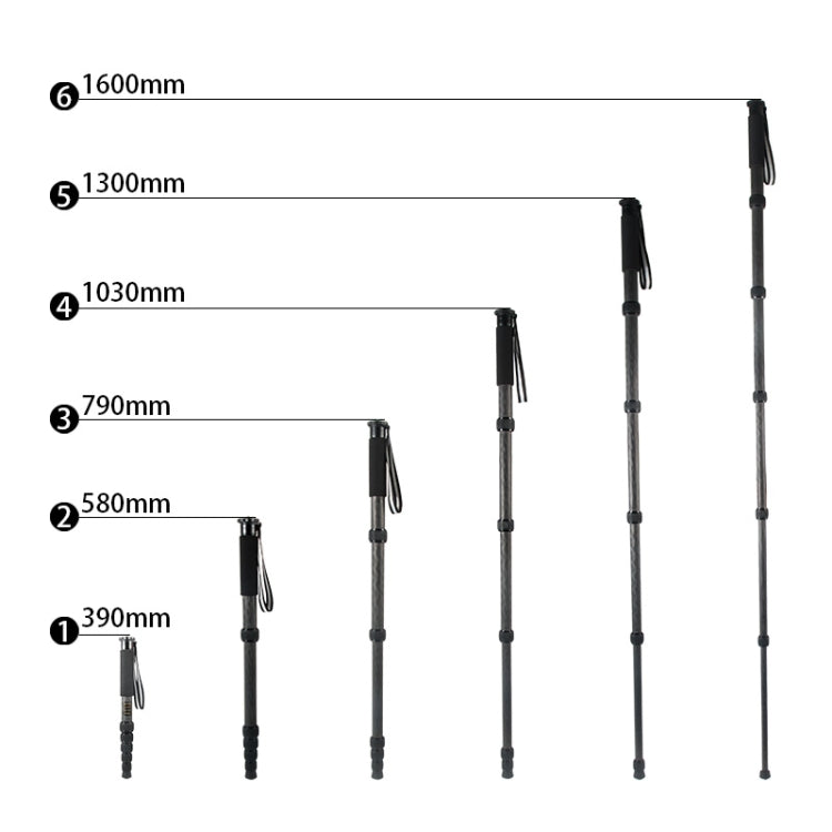 BEXIN P306C Portable Travel Outdoor DSLR Camera Carbon Fiber Monopod Holder (Black) - Monopods by BEXIN | Online Shopping UK | buy2fix