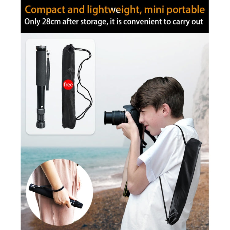 BEXIN P308B Portable Travel Outdoor DSLR Camera Aluminum Alloy Monopod Holder (Black) - Monopods by BEXIN | Online Shopping UK | buy2fix