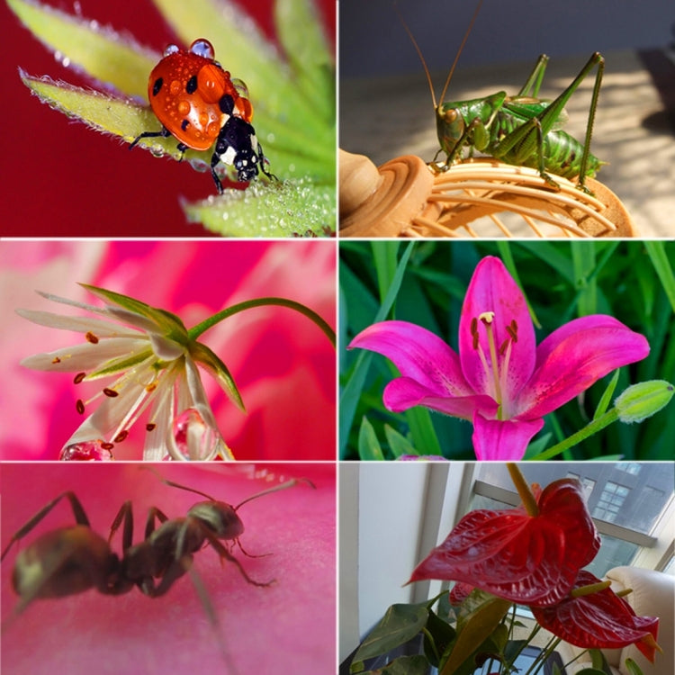 For GoPro HERO5 Sport Action Camera Professional 58mm 16X Macro Lens Close-up Filter with Lens Base & Adapter Ring & Lens Protective Cap & Anti-lost Hand Strap & Cleaning Cloth by buy2fix