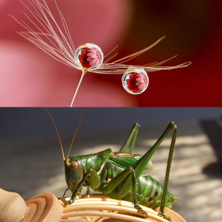 For GoPro HERO5 Sport Action Camera Proffesional 52mm 10X Macro Lens Close-up Filter by buy2fix