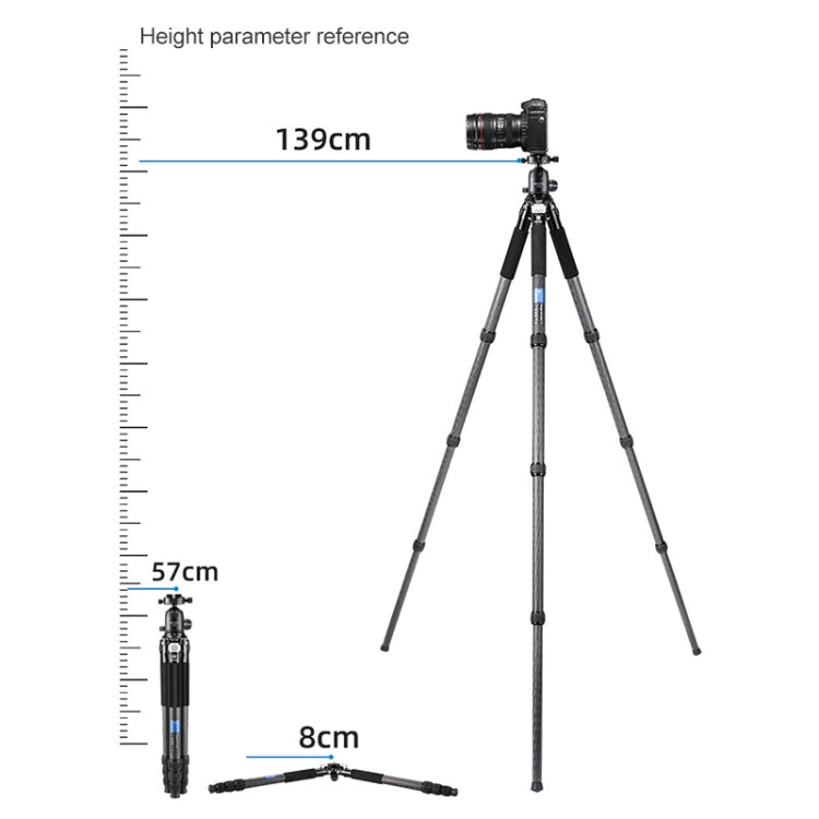 BEXIN RC334 Portable Collapsible Carbon Fiber Camera Tripod with K44 Panoramic BallHead - Tripods by BEXIN | Online Shopping UK | buy2fix