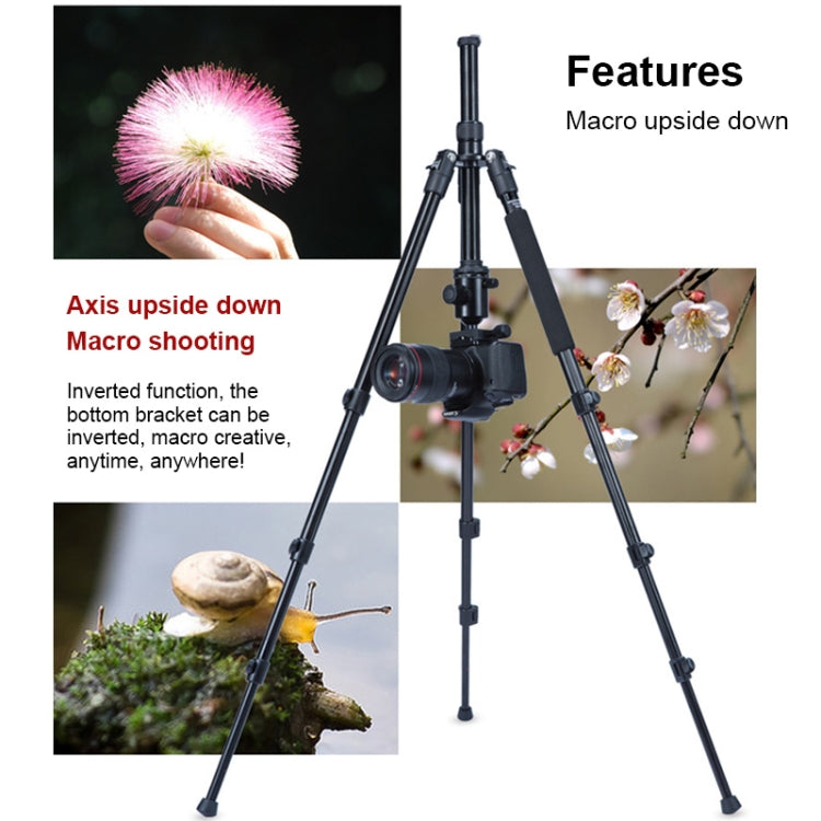 TRIOPO Oubao A-308S Adjustable Portable Aluminum Alloy Tripod with Ball Head for SLR Camera - Tripods by TRIOPO | Online Shopping UK | buy2fix