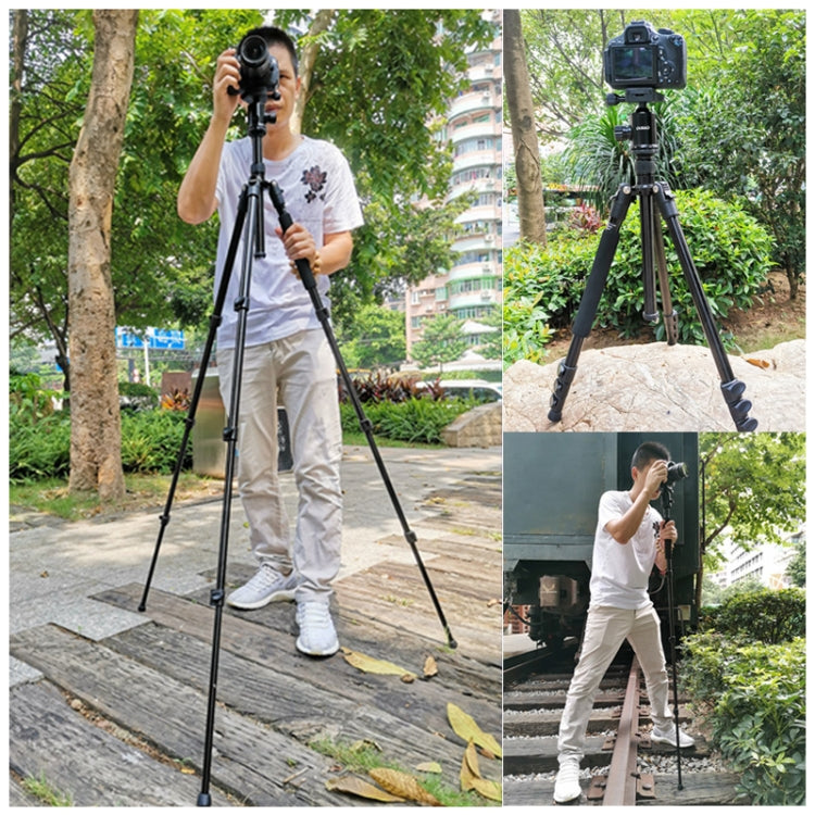 TRIOPO Oubao A-308S Adjustable Portable Aluminum Alloy Tripod with Ball Head for SLR Camera - Tripods by TRIOPO | Online Shopping UK | buy2fix
