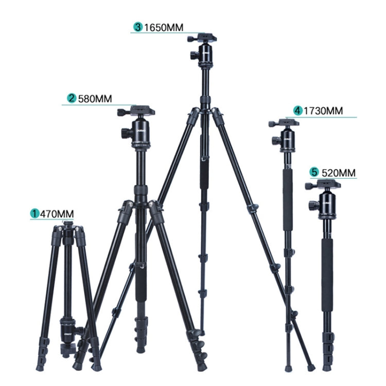 TRIOPO Oubao A-308S Adjustable Portable Aluminum Alloy Tripod with Ball Head for SLR Camera - Tripods by TRIOPO | Online Shopping UK | buy2fix