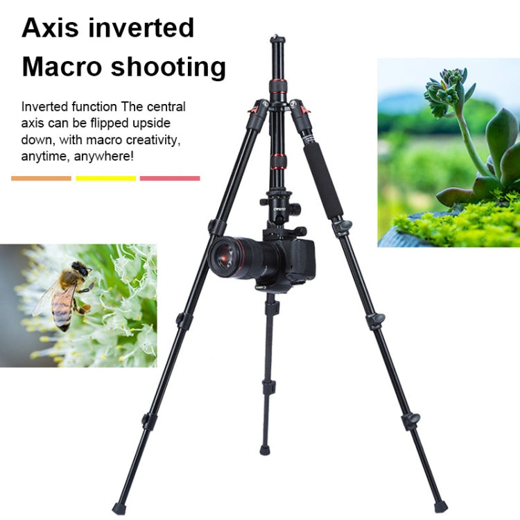 TRIOPO Oubao A-208S Adjustable Portable Aluminum Alloy Tripod with Ball Head for SLR Camera - Tripods by TRIOPO | Online Shopping UK | buy2fix