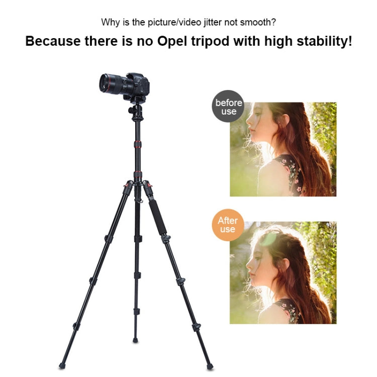 TRIOPO Oubao A-208S Adjustable Portable Aluminum Alloy Tripod with Ball Head for SLR Camera - Tripods by TRIOPO | Online Shopping UK | buy2fix