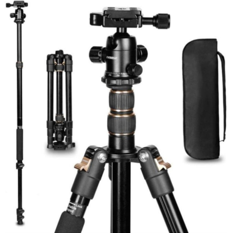 TRIOPO K2508S+B1S Adjustable Portable Aluminum Alloy Tripod with Ball Head for SLR Camera(Gold) - Tripods by TRIOPO | Online Shopping UK | buy2fix