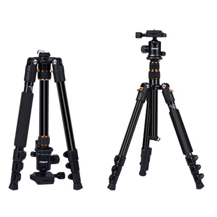 TRIOPO K2508S+B1S Adjustable Portable Aluminum Alloy Tripod with Ball Head for SLR Camera(Gold) - Tripods by TRIOPO | Online Shopping UK | buy2fix
