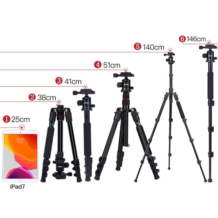 TRIOPO K2508S+B1S Adjustable Portable Aluminum Alloy Tripod with Ball Head for SLR Camera(Gold) - Tripods by TRIOPO | Online Shopping UK | buy2fix