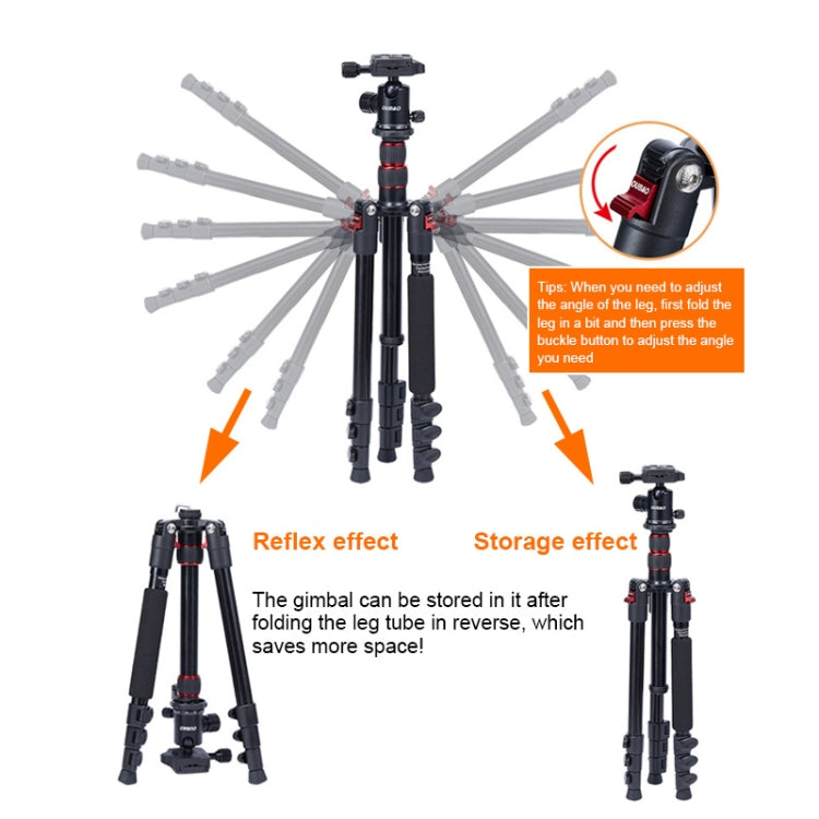 TRIOPO K2508S+B1S Adjustable Portable Aluminum Alloy Tripod with Ball Head for SLR Camera(Gold) - Tripods by TRIOPO | Online Shopping UK | buy2fix