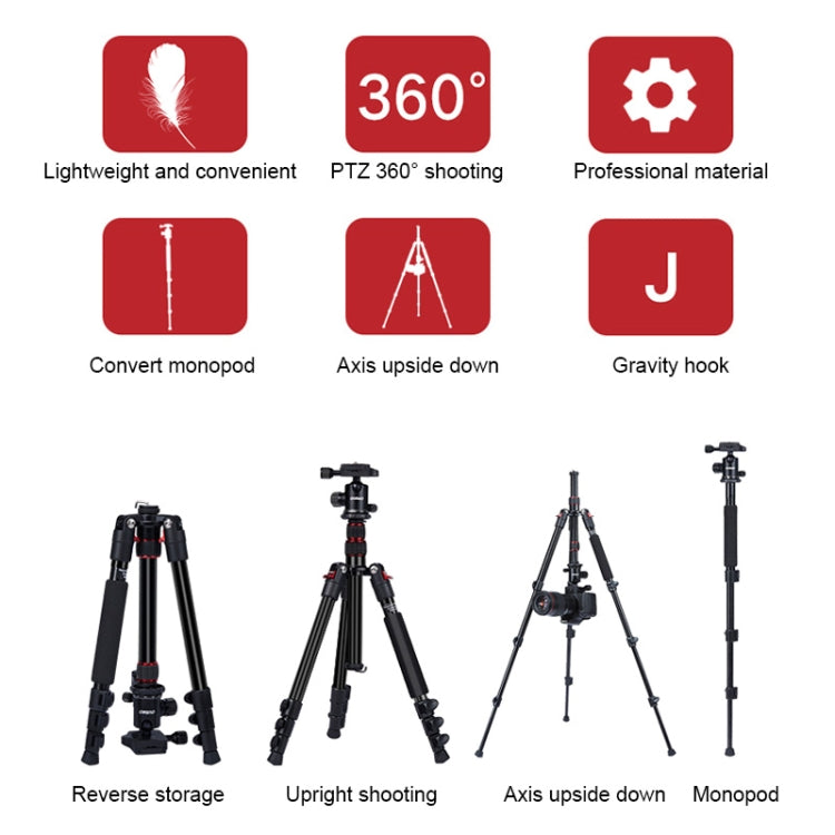 TRIOPO K2508S+B1S Adjustable Portable Aluminum Alloy Tripod with Ball Head for SLR Camera(Gold) - Tripods by TRIOPO | Online Shopping UK | buy2fix