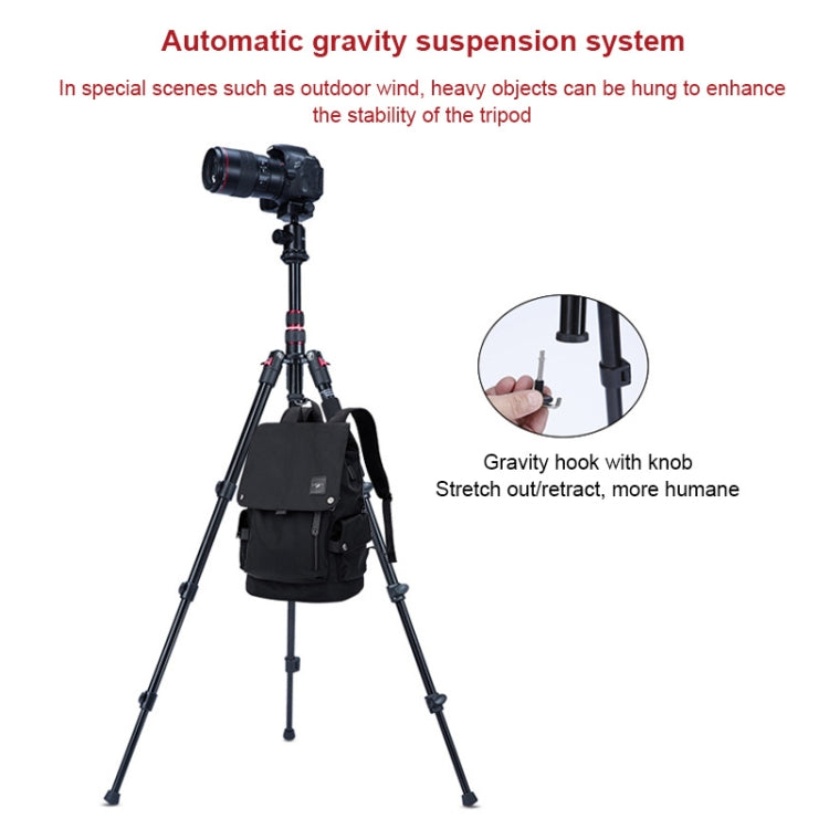 TRIOPO K2508S+B1S Adjustable Portable Aluminum Alloy Tripod with Ball Head for SLR Camera(Gold) - Tripods by TRIOPO | Online Shopping UK | buy2fix