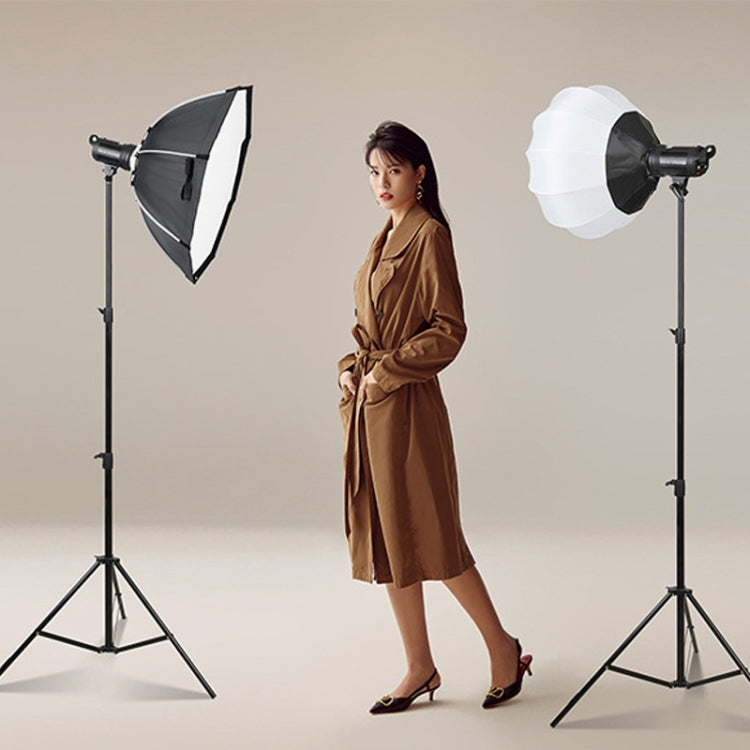 TRIOPO EX-60W Studio Flash Built-in Dissipate Heat System with EX-60III LED Single Light by TRIOPO