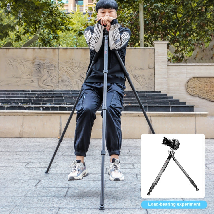 TRIOPO GS2808 Camcorder Photography No Axial Carbon Fiber Tripod Mount Holder with Ball Head, Load: 15KG by TRIOPO