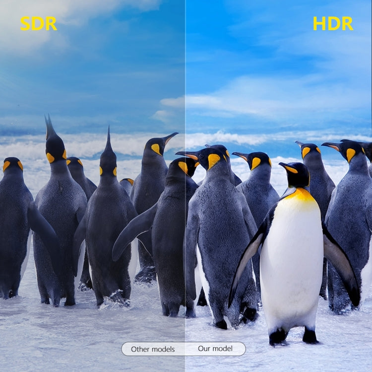 TANIX X96Q Max 4K Smart TV BOX Android 10 Media Player with Remote Control, Quad Core Allwinner H616, RAM: 4GB, ROM: 64GB, 2.4GHz/5GHz WiFi, AU Plug - Allwinner H6 by buy2fix | Online Shopping UK | buy2fix