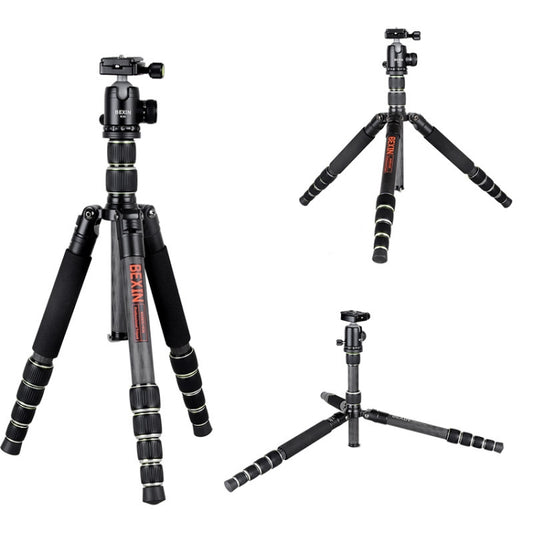 BEXIN BX285C K36 Portable Carbon Fiber Tripod for Dslr Digital DV Camcorder by BEXIN