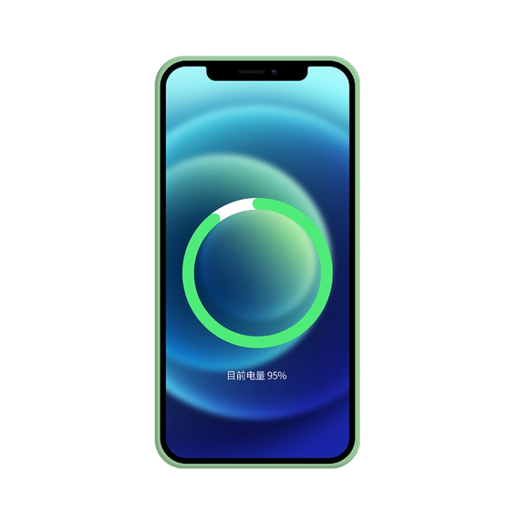 For iPhone 11 Silicone Full Coverage Shockproof Magsafe Case (Green) - iPhone 11 Cases by buy2fix | Online Shopping UK | buy2fix