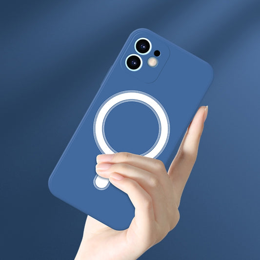 For iPhone 11 Pro Silicone Full Coverage Shockproof Magsafe Case (Grey) by buy2fix