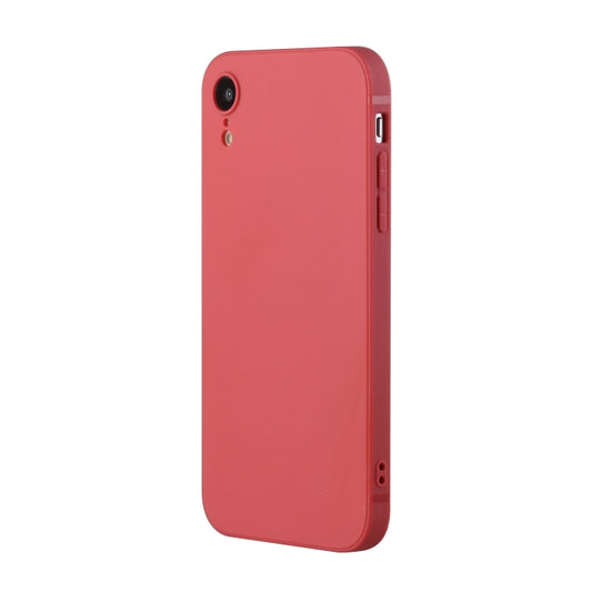 For iPhone XR Straight Edge Solid Color TPU Shockproof Case(Hawthorn Red) by buy2fix