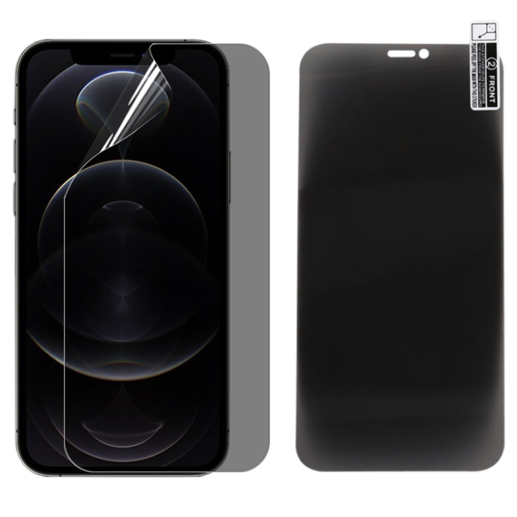 For iPhone 12 0.1mm 2.5D Full Cover Anti-spy Screen Protector Explosion-proof Hydrogel Film - iPhone 12 / 12 Pro Tempered Glass by buy2fix | Online Shopping UK | buy2fix