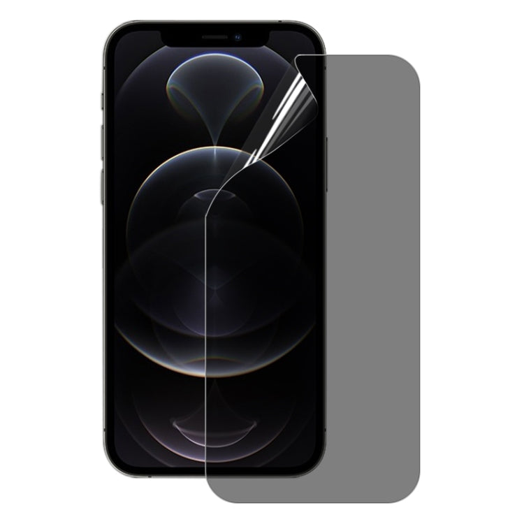 For iPhone 12 Pro 0.1mm 2.5D Full Cover Anti-spy Screen Protector Explosion-proof Hydrogel Film - iPhone 12 / 12 Pro Tempered Glass by buy2fix | Online Shopping UK | buy2fix