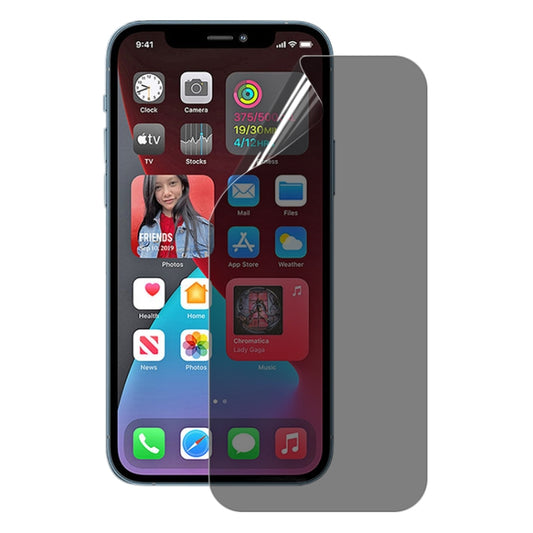 For iPhone 12 Pro Max 25pcs 0.1mm 2.5D Full Cover Anti-spy Screen Protector Explosion-proof Hydrogel Film by buy2fix