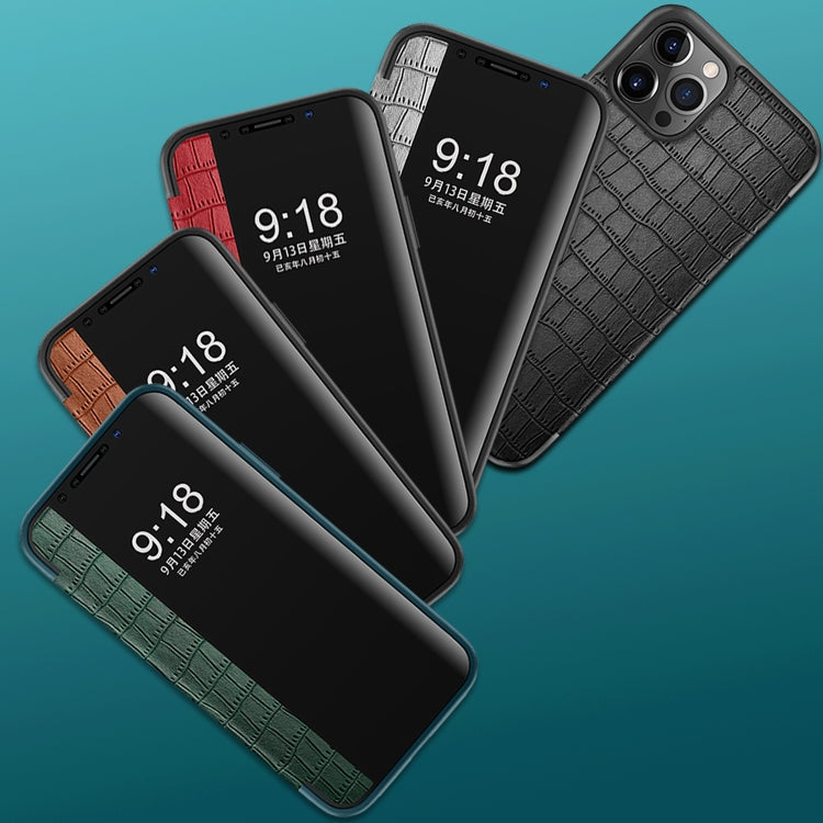 For iPhone 12 / 12 Pro Crocodile Texture Display Window Horizontal Flip Leather Case(Brown) - iPhone 12 / 12 Pro Cases by buy2fix | Online Shopping UK | buy2fix