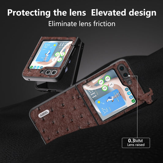 For Samsung Galaxy Z Flip5 ABEEL Genuine Leather Ostrich Texture Phone Case(Coffee) by buy2fix