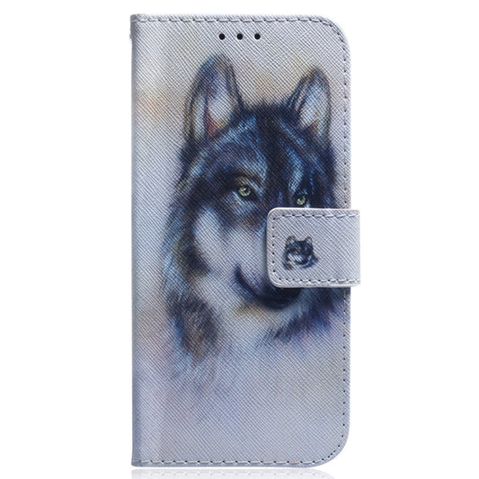 For Infinix Smart 7 India / 7 Plus Coloured Drawing Flip Leather Phone Case(White Wolf) by buy2fix