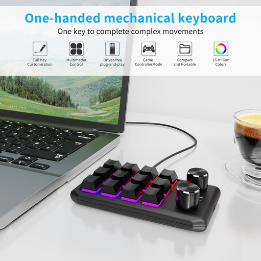 USB Wired 12KV2 MOLD Mini Mechanical 12 Keys 2 Knob Custom Programming Keyboard(Black) by buy2fix