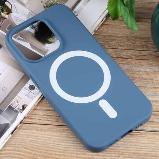 For iPhone 12 Pro MagSafe Liquid Silicone Phone Case(Blue) by buy2fix