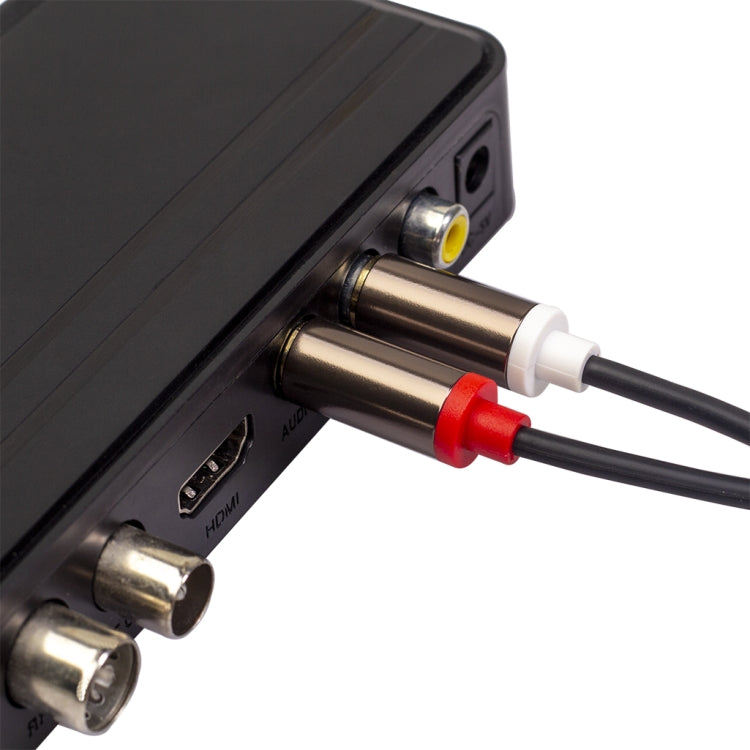 3660B 2 x RCA to 2 x RCA Gold-plated Audio Cable, Cable Length:2m(Black) - RCA Cable by buy2fix | Online Shopping UK | buy2fix