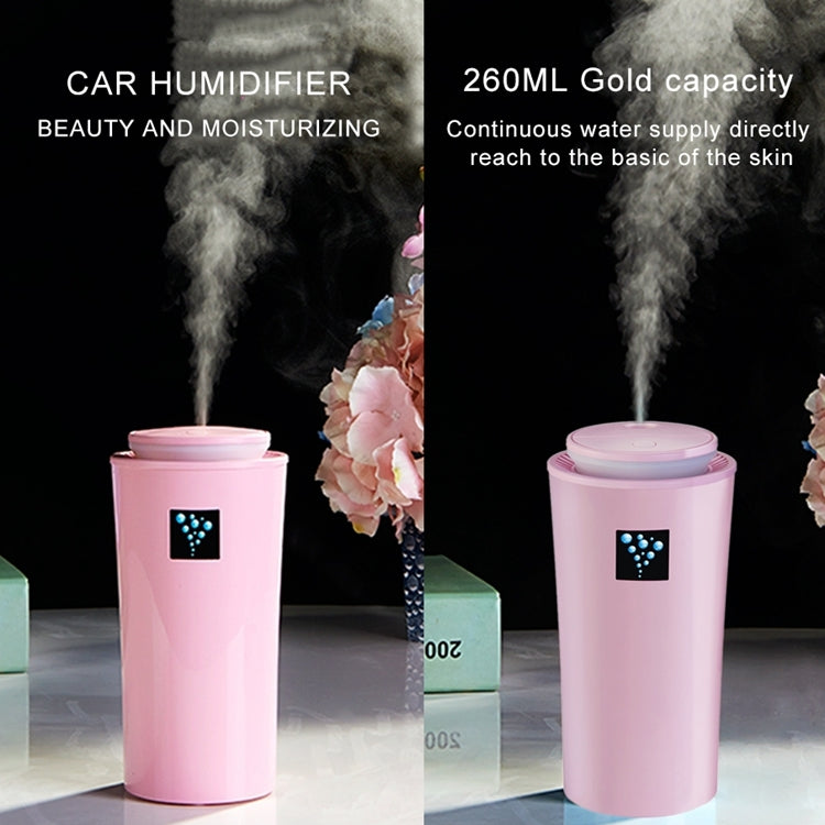 Small-3 2W Humidifier Moisture Meter Moisturizing Instrument with LED Night Light, Water Tank Capacity: 260ml(Pink) - Air Purifiers & Accessories by buy2fix | Online Shopping UK | buy2fix